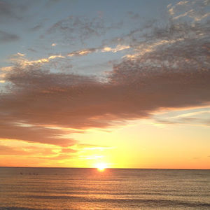 Meet your Posher, Betsy